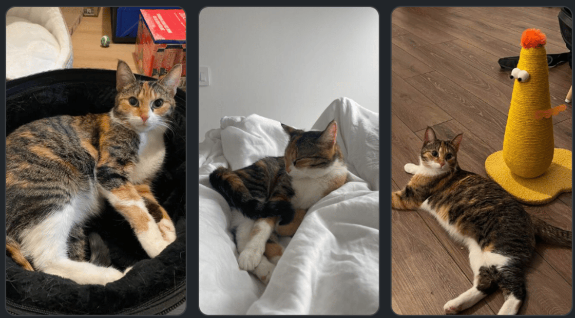 Screen Shot 2024-03-13 at 2.47.57 PM