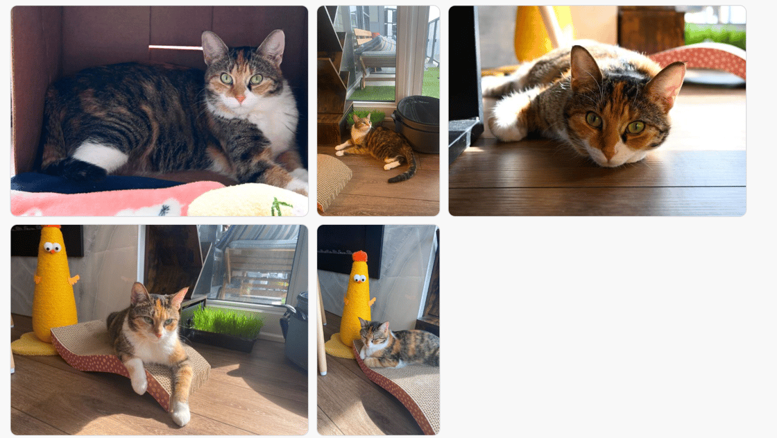 Screen Shot 2024-03-27 at 9.56.58 AM